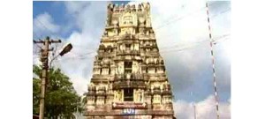 48. திருப்பாடகம் (பாண்டவ தூதர் கோயில்)